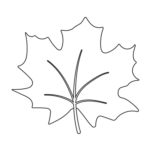 Akçaağaç yaprağı vektör simgesi web için çizgi stili — Stok Vektör
