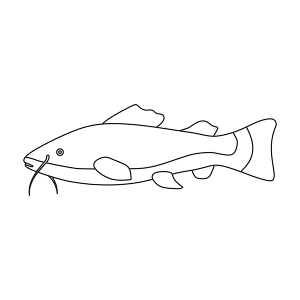 Phractocephalus hemioliopterus línea icono de pescado. Singe acuario icono de los peces del mar, la vida del océano conjunto . — Vector de stock