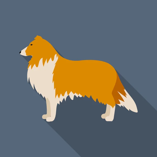 Collie vector icon in flat style for web — Stock Vector