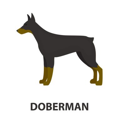 Doberman vektör simge karikatür tarzı web için