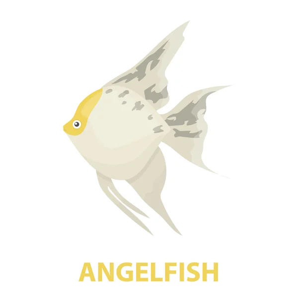 Pesce angelo icona comune cartone animato. Singe acquario icona di pesce dal mare, vita oceanica cartone animato . — Vettoriale Stock