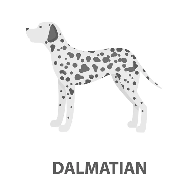 Dalmatské vektorové ikony v kreslený styl pro web — Stockový vektor