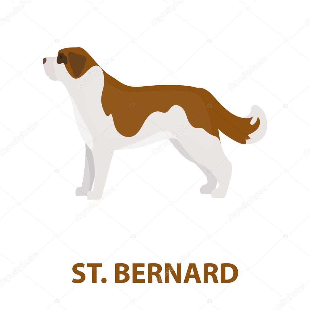 St. Bernard dog vector icon in cartoon style for web