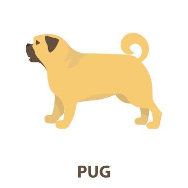 Pug vektör simge karikatür tarzı web için