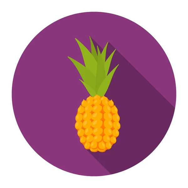 Icono de piña de dibujos animados. Icono de fruta Singe . — Vector de stock