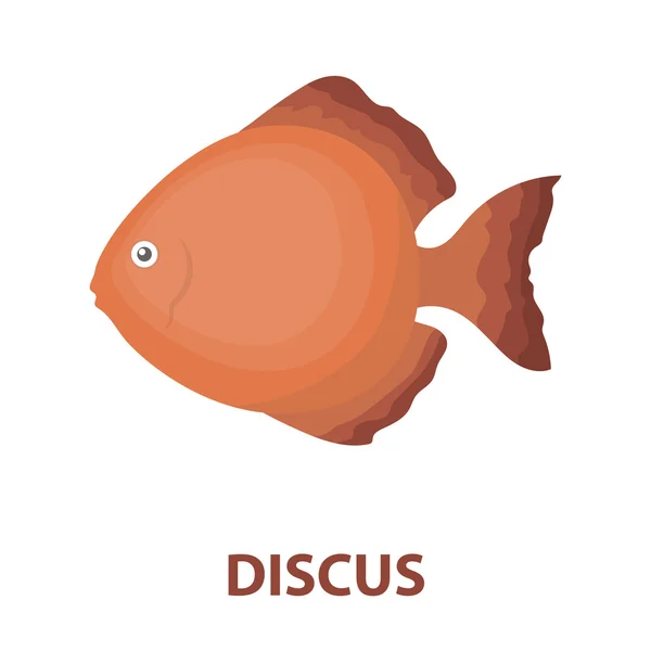 Discus ryby ikonu kreslený. Připálit akvarijních ryb ikonu z moře, oceánu života kreslené. — Stockový vektor