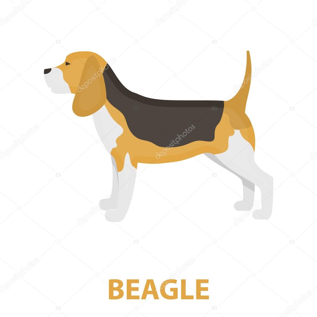 Beagle vector icon in cartoon style for web