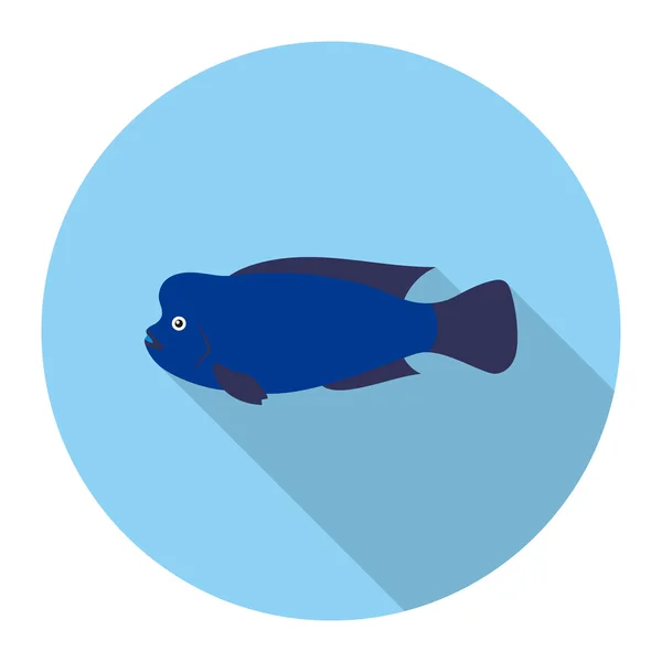 Рыбная икона стеарокрана плоская. Одинокая аквариумная икона из моря, океанская жизнь плоская . — стоковый вектор