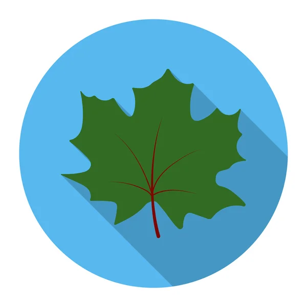在平面样式的 web 枫树叶子矢量图标 — 图库矢量图片
