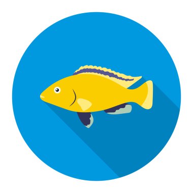 Cichlid sinekkuşu balık simgesi düz. Denizden singe akvaryum balık simgesi, okyanus yaşam uzun gölge.