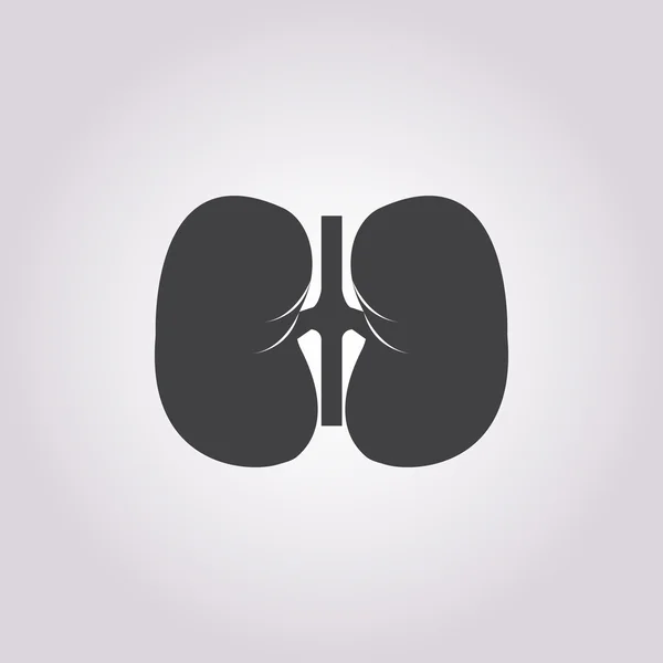 Icono del vector renal. Sobre fondo blanco — Vector de stock