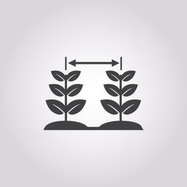 Beyaz arkaplanda bitki simgesi