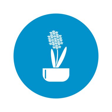 beyaz zemin üzerine sümbül simgesi