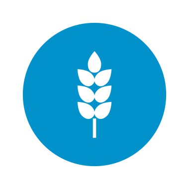 Beyaz arka plan buğday simgesini