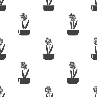 beyaz zemin üzerine sümbül simgesi