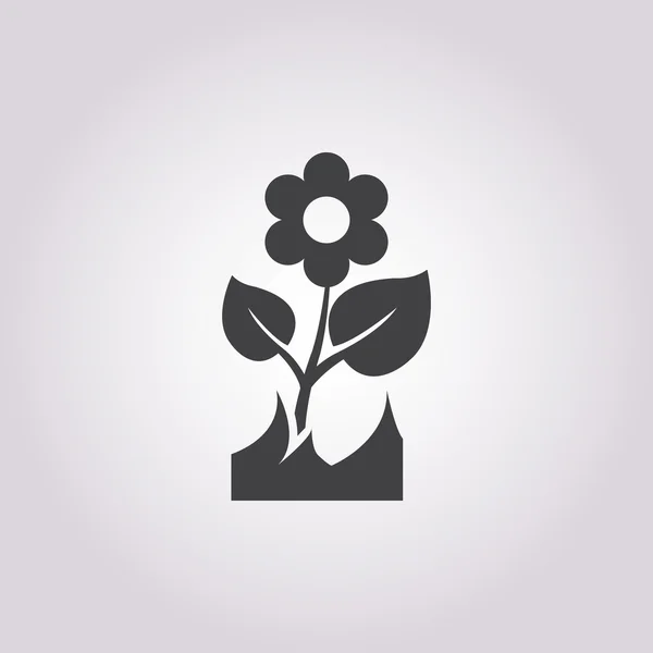 Blomma ikon på vit bakgrund — Stock vektor