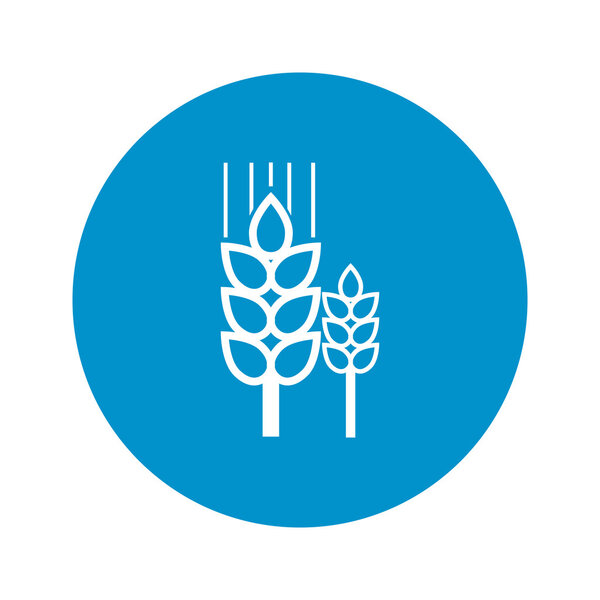 иконка ржи на белом фоне
