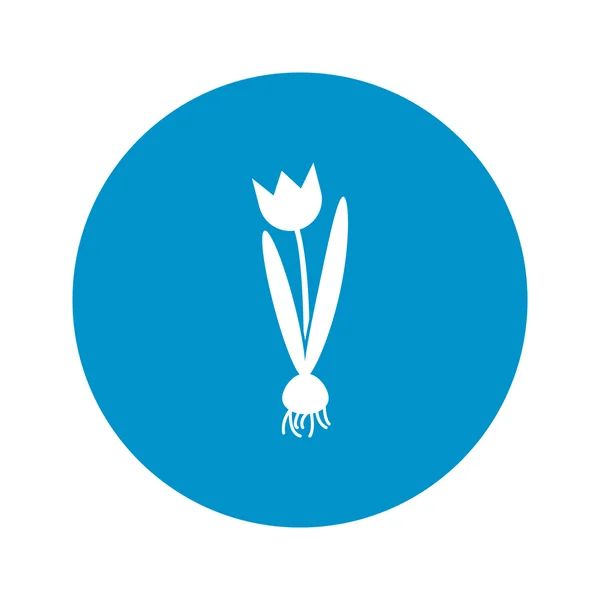 Tulip ikonen på vit bakgrund — Stock vektor