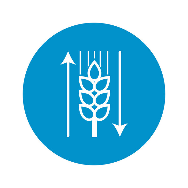 иконка пшеницы на белом фоне

