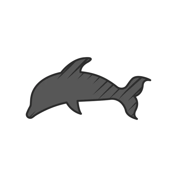 Dolphin ikona na bílém pozadí — Stockový vektor