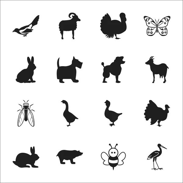 Animal, pássaro 16 ícones simples pretos para web —  Vetores de Stock
