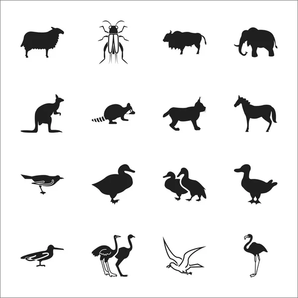 Animal, bird 16 black simple icons set for web — Stock Vector