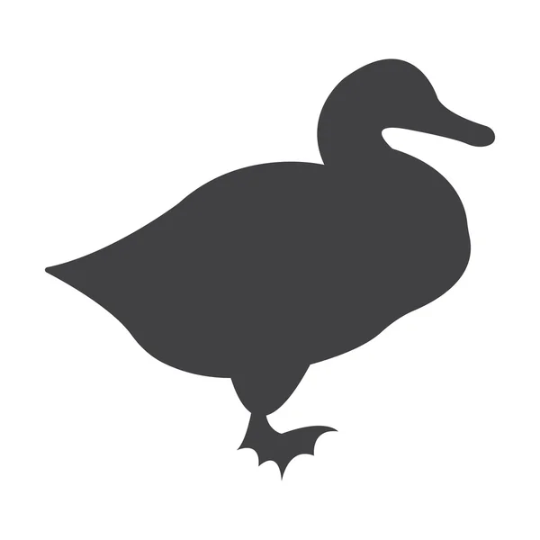 Duck black simple icon on white background for web — Stock Vector