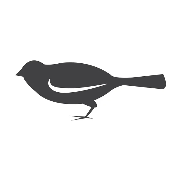 Fekete madár fehér háttér a web egyszerű ikonra — Stock Vector