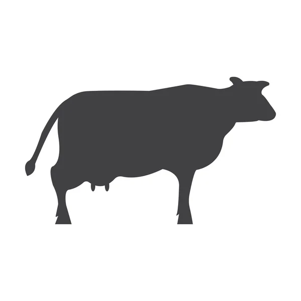 Jednoduchý ikona kráva černá na bílém pozadí pro web — Stockový vektor