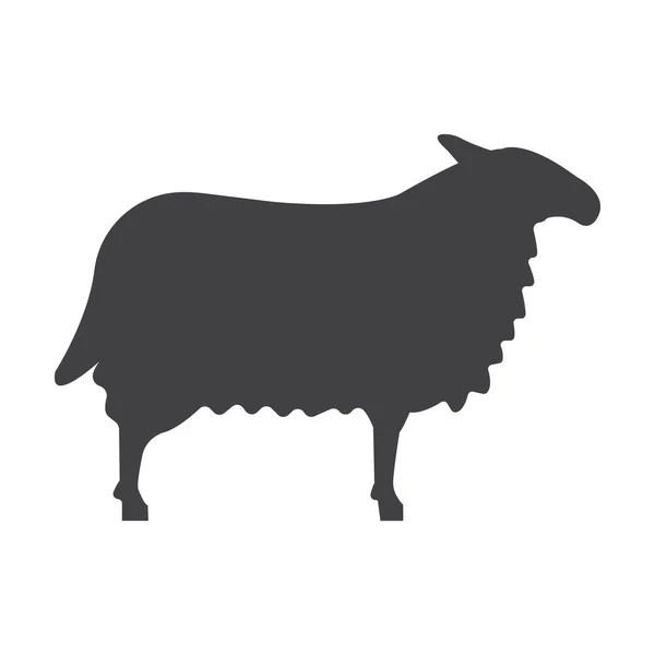 Baran czarne proste ikona na białym tle dla sieci web — Wektor stockowy