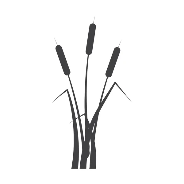 Bulrush schwarz einfaches Symbol auf weißem Hintergrund für Web — Stockvektor
