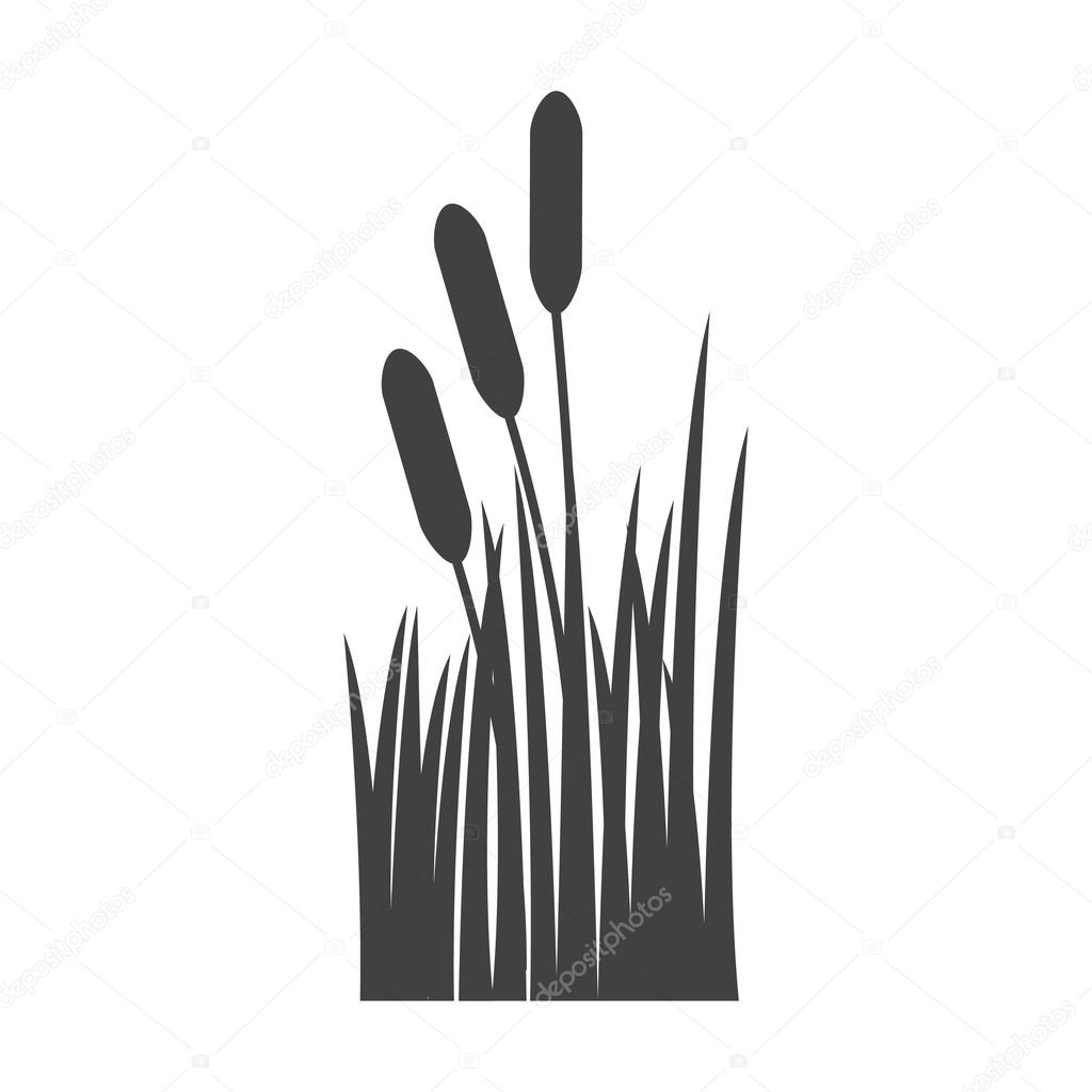 reed black simple icon on white background for web