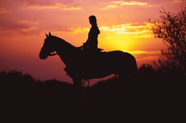 Gün doğumunda ya da batımında bir at ve binicinin silueti. Aygır süren bir kız.