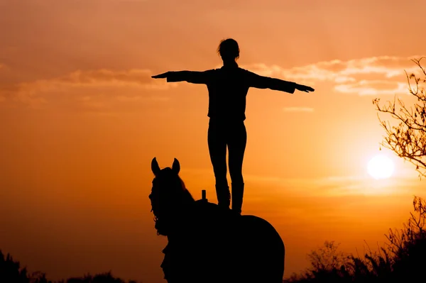 Silhueta Uma Menina Sobre Cavalo Fundo Pôr Sol Nascer Sol — Fotografia de Stock