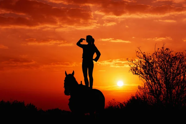 Silhueta Uma Jovem Que Está Sobre Cavalo Olha Para Distância — Fotografia de Stock