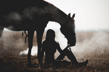 Güzel bir siluet. Bir atın yanında oturan ve ellerini beyaz arka planda besleyen bir kız. Tarlada oturan kadın dumandan bir arka planda ve yanında da atı var.