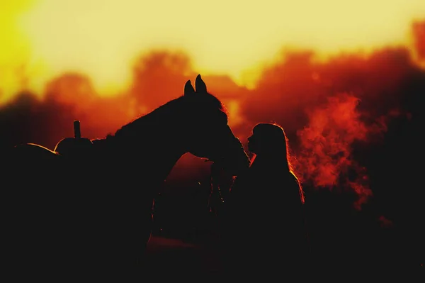 Silhueta Uma Menina Cavalo Contexto Amanhecer Vapor Cavalo Homem Beija — Fotografia de Stock