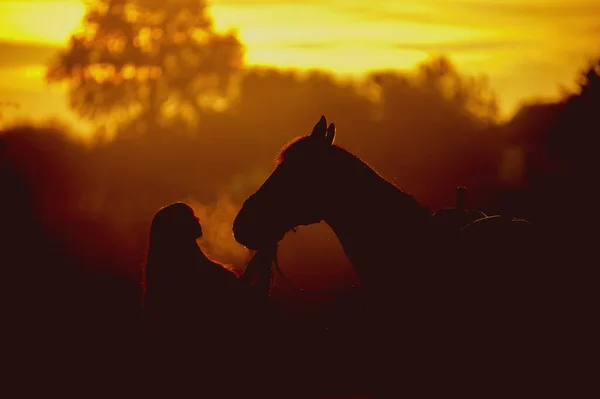 夜明けを背景に少女と馬のシルエット 馬の呼吸蒸気 馬にキスする男 — ストック写真