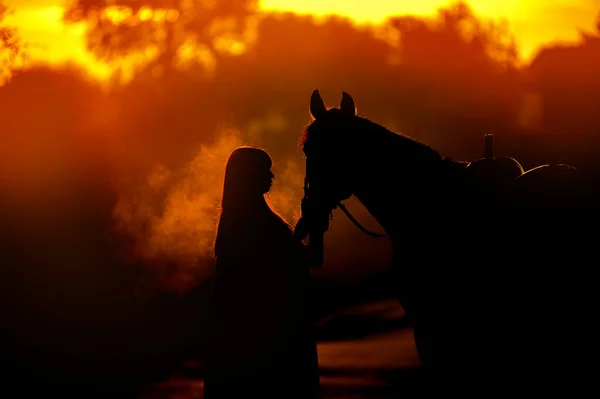 Silhouette Una Ragazza Cavallo Uno Sfondo Alba Uomo Piedi Vicino — Foto Stock