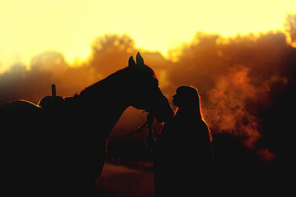 Silhouette Eines Mädchens Das Ein Pferd Auf Einem Hintergrund Der — Stockfoto