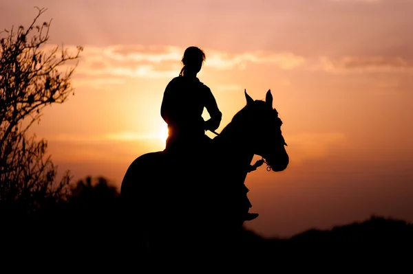 Silhueta de uma menina montando um cavalo — Fotografia de Stock