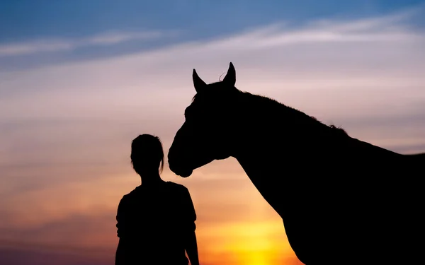 La fille près d'un cheval debout — Photo