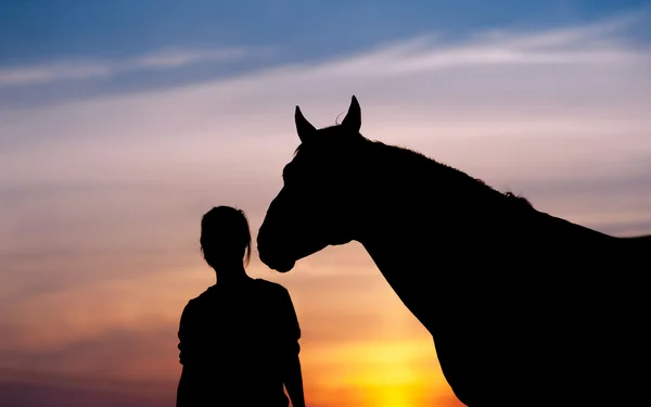 The girl near to a horse standing