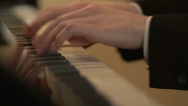 Male hands playing on the keys — Stock Video