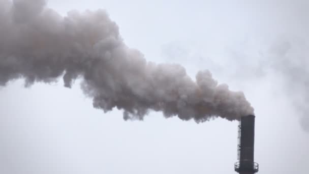 Fumaça, vapor dos tubos acima da empresa metalúrgica — Vídeo de Stock