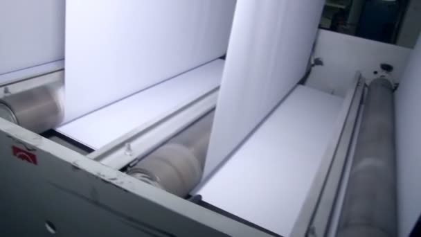 Cinta transportadora para colocar una capa uniforme de papel — Vídeo de stock