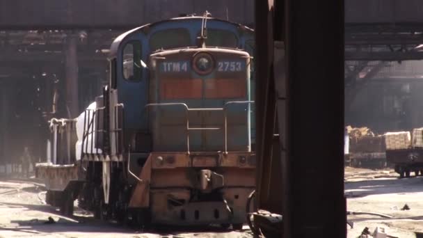 Specie di piante locomotive — Video Stock