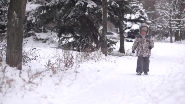 Kind gaat op een voetpad — Stockvideo