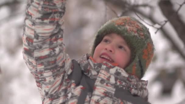 Neige déverse de branche en enfant jour d'hiver — Video