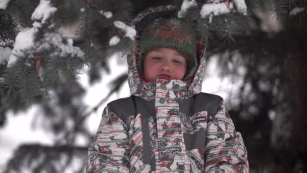 Lindo niño bajo el árbol de Navidad — Vídeos de Stock